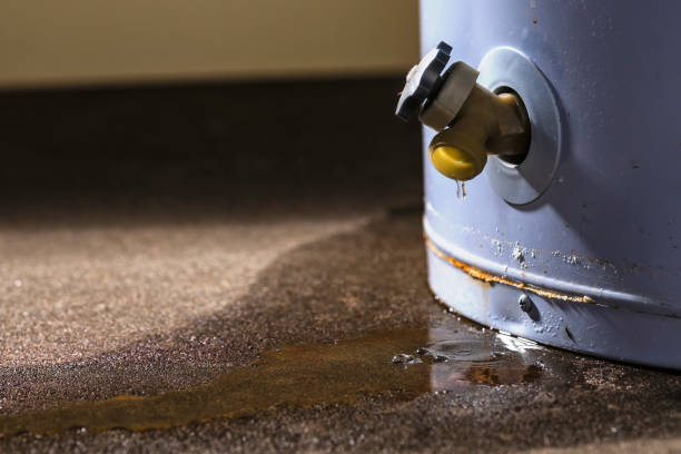 Best Local water damage restoration  in Winnebago, MN