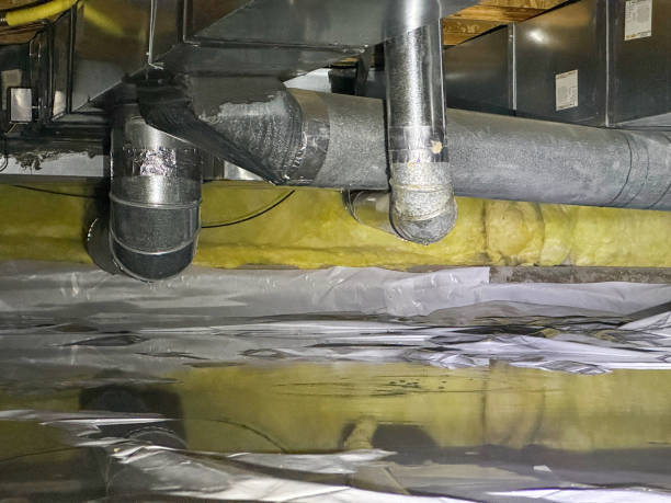 Best Carpet water damage restoration  in Winnebago, MN