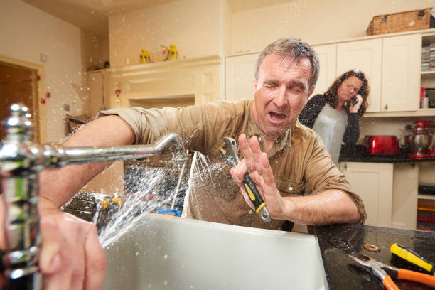Best Sewage cleanup and water damage restoration  in Winnebago, MN